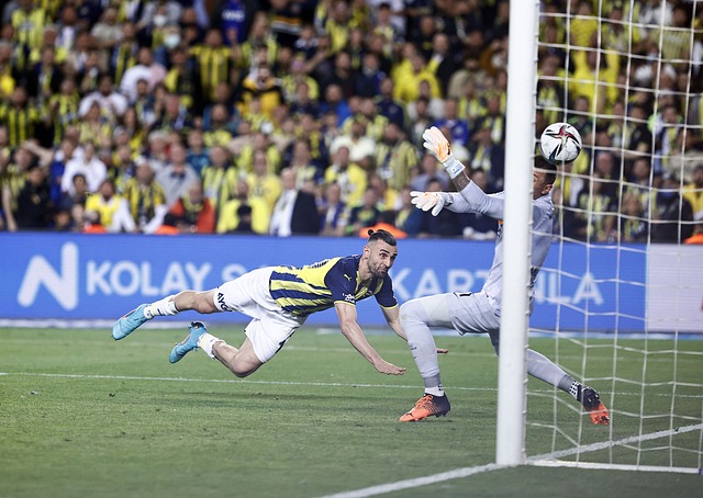 体实力的提 体实力的提