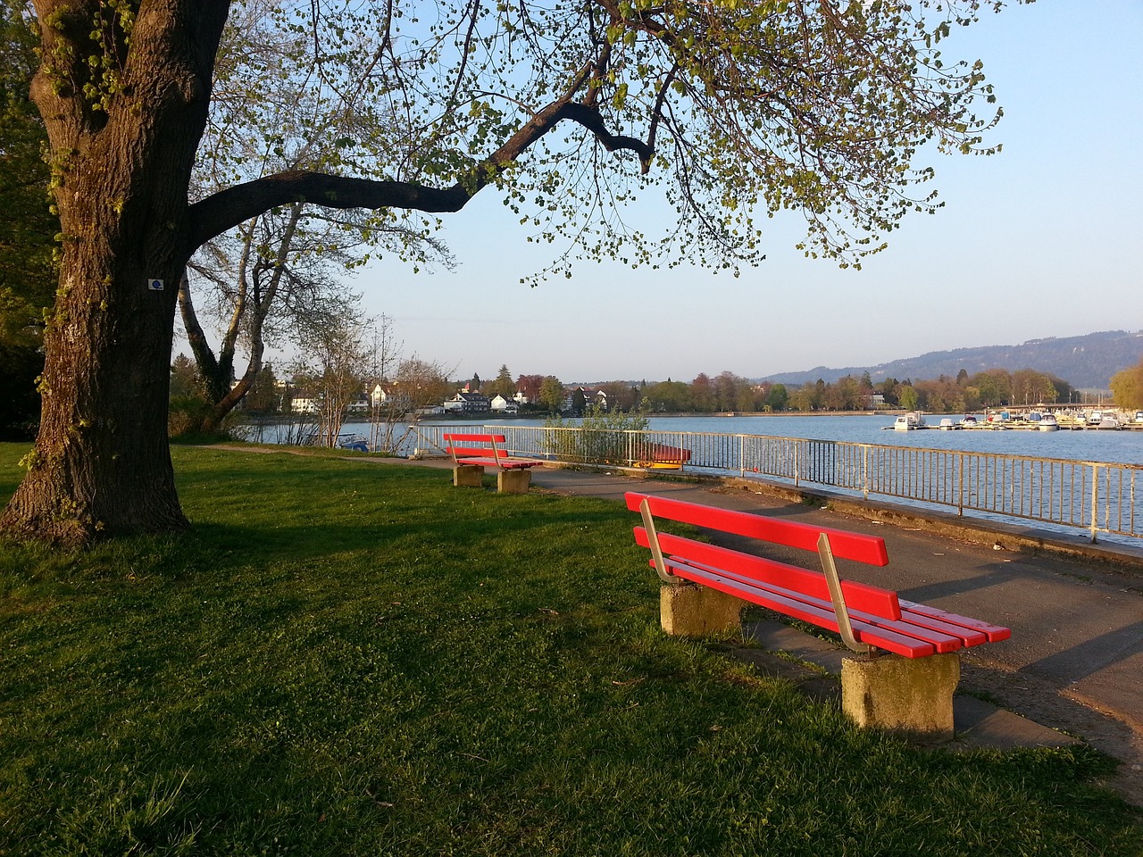 他仅得到 他仅得到