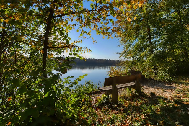 上升势头明 上升势头明