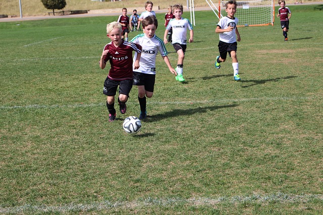 隊的歷程 隊的歷程